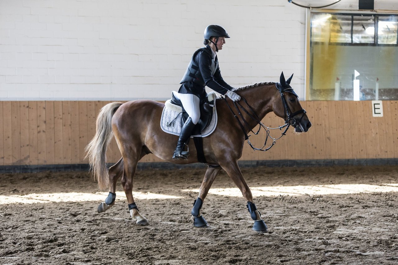 Bild 17 - Pony Akademie Turnier